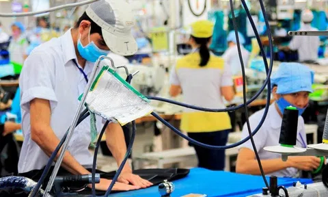 Thu thập thông tin về thị trường lao động