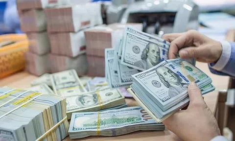 Tỷ giá USD hôm nay 12/9: Cập nhật tỷ giá USD trong nước và quốc tế