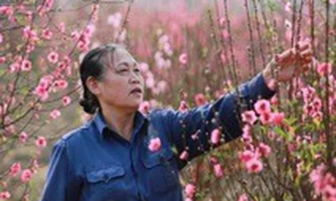 Bộ Tài chính đề xuất nghỉ Tết Nguyên đán 9 ngày