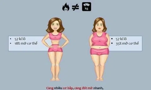 Hiệu quả sau khi sử dụng trà sen giảm cân