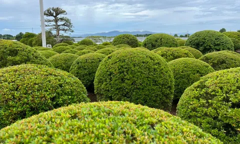 Ý nghĩa khu vườn phong cách Nhật