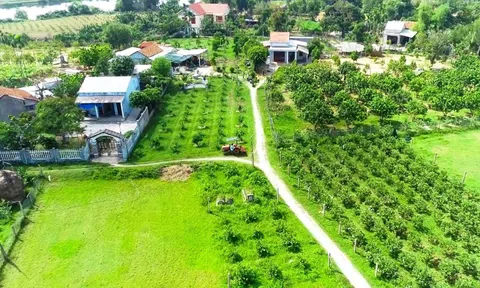 Trong 2 ngày 26 - 27/8/2023, tại làng Cà Ban sẽ tổ chức hàng loạt hoạt động văn hóa, thể thao, trải nghiệm