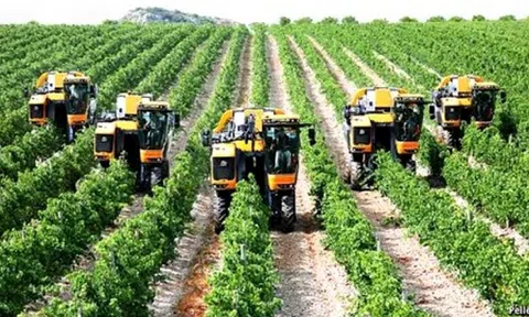 Năm 2020, hơn 1.700 hợp tác xã nông nghiệp ứng dụng công nghệ cao