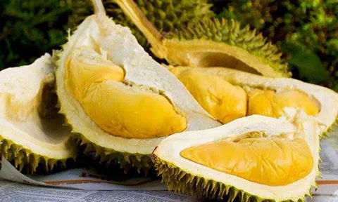 Giá thực phẩm hôm nay 16/1: Chuối xiêm, sầu riêng giảm giá mạnh