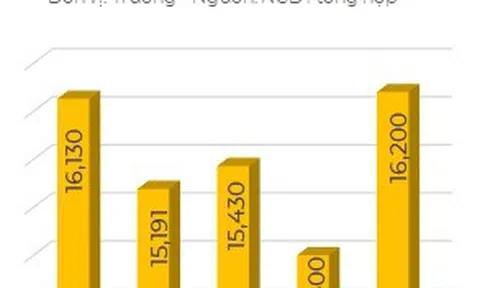 VN-Index đạt đến đỉnh của sàn giao dịch