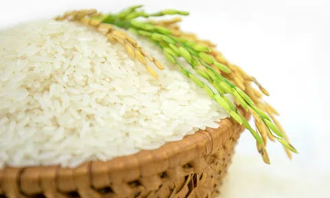 Giá lúa gạo hôm nay ngày 19/1: Giá gạo trong nước tăng mạnh