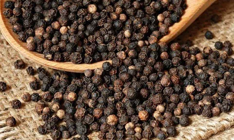 Giá tiêu ngày19/1: Giá tiêu giảm mạnh