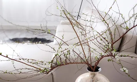 6 loại hoa ngoại hot nhất trên thị trường hoa Tết 2021