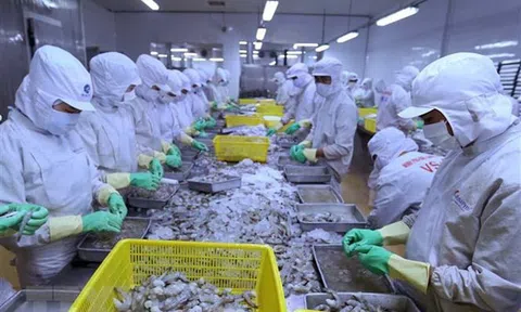 Việt Nam-Canada đạt 5,1 tỷ USD trong năm 2020