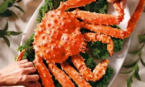 Tiết canh cua hoàng đế có gì đặc biệt mà có giá 8 triệu đồng?