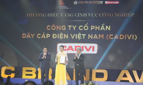 TP. Hồ Chí Minh: Trao tặng giải thưởng Thương hiệu vàng cho 30 doanh nghiệp