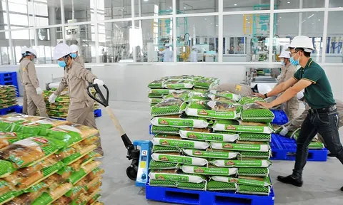 PAN hoàn thành vượt mức các chỉ tiêu doanh thu, lợi nhuận năm 2020