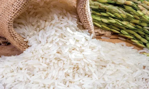 Giá lúa gạo ngày 3/2: Giá gạo xuất khẩu ở mức cao