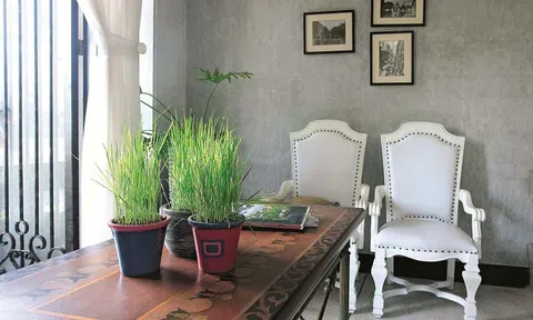 Những lời khuyên hữu ích về màu sắc phong thủy khi sơn nhà đón Tết