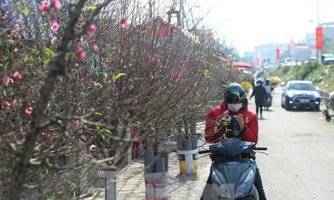 Thời tiết Hà Nội, Đà Nẵng, TPHCM dịp Tết ra sao?