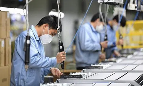 Công ty CP Nhiệt điện Ninh Bình: Nâng cao năng lực sản xuất kinh doanh gắn với bảo vệ môi trường