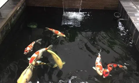 Những đồ vật nên có trong nhà để gia đình hòa thuận, vượng khí sinh tài