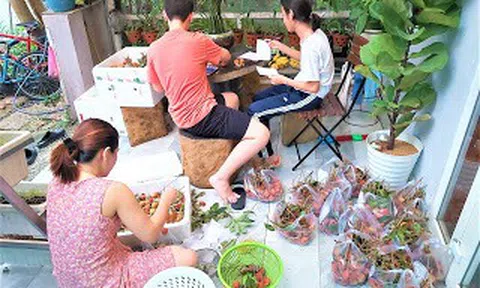 TÌNH NGƯỜI BẮC GIANG TRONG HOẠN NẠN, TRIỆU TẤM LÒNG HƯỚNG VỀ NGƯỜI TRỒNG VẢI BẮC GIANG