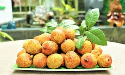 TÌNH NGƯỜI BẮC GIANG TRONG HOẠN NẠN, TRIỆU TẤM LÒNG HƯỚNG VỀ NGƯỜI TRỒNG VẢI BẮC GIANG