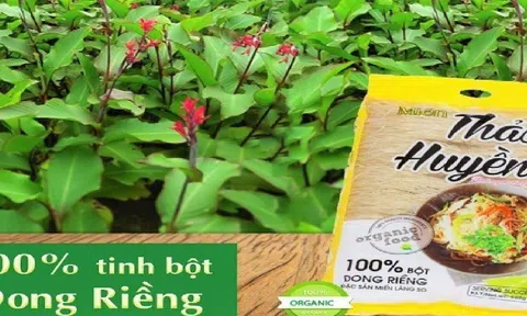 Đặc sản miến Làng So: Thương hiệu Thảo Huyền được khách hàng tin dùng