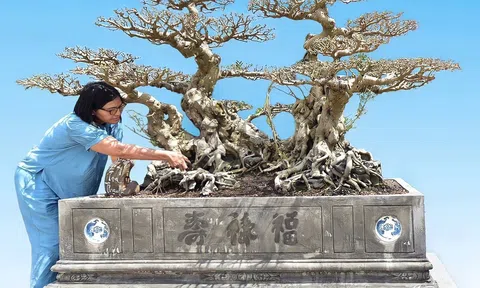 Ai là chủ nhân của tác phẩm Sanh cổ Song Long Tọa Thạch