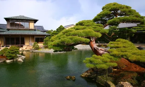 Vì sao nên thiết kế vườn theo phong cách Nhật?