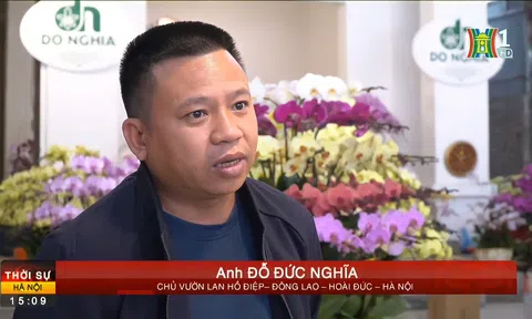 Lý giải của các chuyên gia về lan Hồ Điệp Đà Lạt trong dịp Tết Nguyên Đán Quý Mão 2023