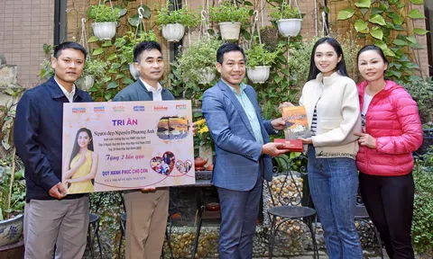 "Người tình" kết nối những tình người