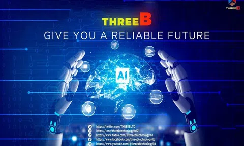 ThreeB NFT Marketplace là gì? Tóm tắt về ThreeB NFT Marketplace