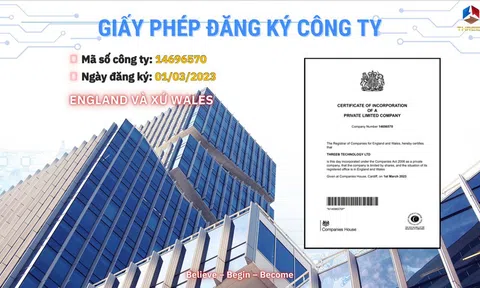 ThreeB NFT Market - Xu Hướng Mới Của Thế Giới