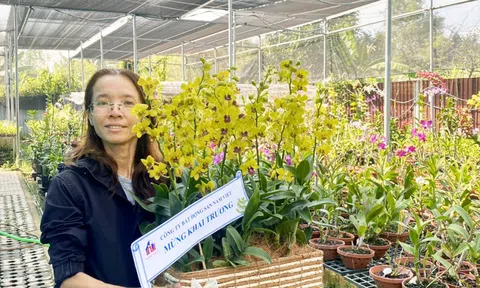 Kỹ sư Liêu Thị Kim Phượng tiếp tục đạt thành tích lớn trong năm 2023