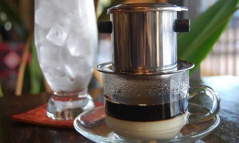 Chất lượng cà phê nguyên chất giá sỉ - Cà phê cao nguyên