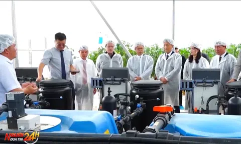 NÂNG CAO GIÁ TRỊ NÔNG SẢN NHỜ TRANG TRẠI THÔNG MINH