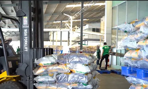 NĂM 2023 VIỆT NAM HOÀN TOÀN CÓ THỂ ĐẠT HOẶC VƯỢT MỨC XUẤT KHẨU GẠO NĂM 2022