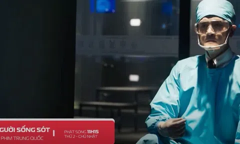 Khám Phá Các Bộ Phim Hot Không Thể Bỏ Lỡ Trong Tháng 9 trên SCTV6 - FIM360!