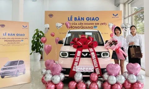 Xe điện HongGuang MiniEV đến tay người dùng Việt