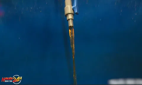 ĐỀ NGHỊ CÔNG NHẬN NƯỚC MẮM LÀ DI SẢN VĂN HÓA PHI VẬT THỂ CỦA VIỆT NAM