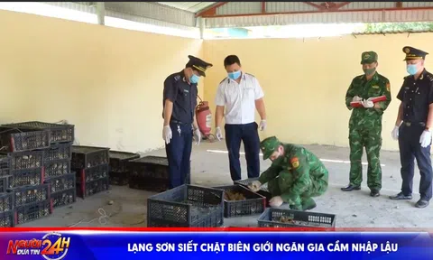 LẠNG SƠN SIẾT CHẶT BIÊN GIỚI NGĂN GIA CẦM NHẬP LẬU