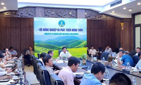 Tháng 8, toàn ngành nông nghiệp tập trung thực hiện các chiến lược phát triển ngành
