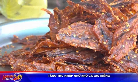 TĂNG THU NHẬP NHỜ KHÔ CÁ LAU KIẾNG