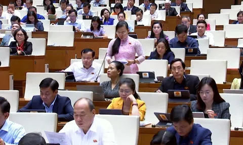 QUỐC HỘI THẢO LUẬN VỀ DỰ ÁN LUẬT SỬA ĐỔI,  BỔ SUNG MỘT SỐ ĐIỀU CỦA LUẬT ĐẤU GIÁ TÀI SẢN