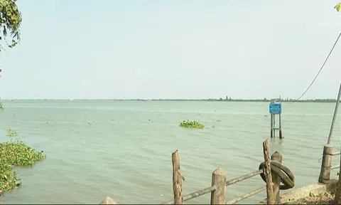 THÁNG 3 SẼ LÀ CAO ĐIỂM XÂM NHẬP MẶN TẠI ĐỒNG BẰNG SÔNG CỬU LONG