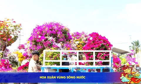 HOA XUÂN VÙNG SÔNG NƯỚC