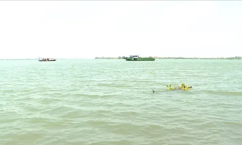 DỰ BÁO XÂM NHẬP MẶN TĂNG DẦN TỪ 25/3 ĐẾN NGÀY 28/3