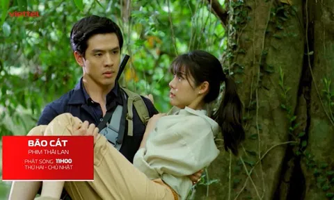 Không thể bỏ lỡ, loạt siêu phẩm đã có mặt trên SCTV6 – Fim360