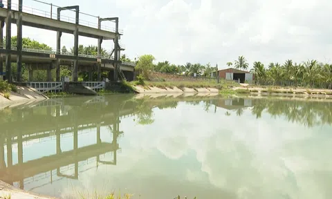 XÂM NHẬP MẶN CHIỀU NGÀY 20-5