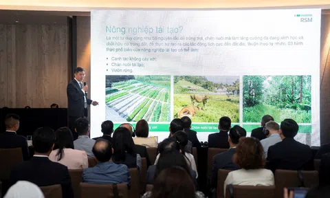 Thúc đẩy đổi mới sáng tạo xanh hướng tới phát triển bền vững