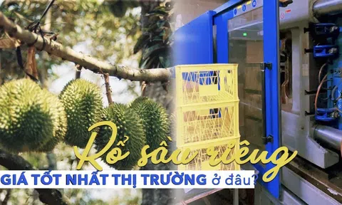 Công ty nhựa Kim Nguyên sản xuất rổ nhựa đựng sầu riêng giá tại xưởng