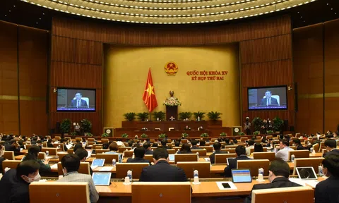 Sẽ tổ chức trực tuyến Lễ tưởng niệm nạn nhân tử vong vì Covid-19