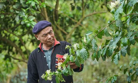 Lương y Triệu Quý Đức - người thầy thuốc tâm huyết giúp đời